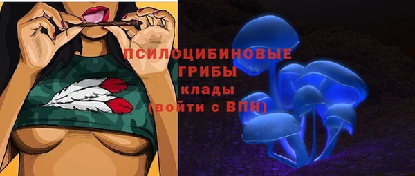 соль ск Алзамай