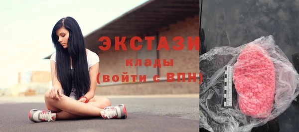 стаф Алексин