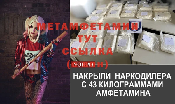 стаф Алексин