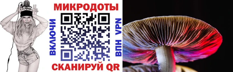 Купить закладки  Болохово  Псилоцибиновые грибы мухоморы 