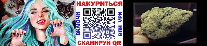 Купить закладки  Болохово  Бошки Шишки OG Kush 